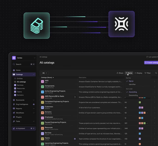 Accordion illustration